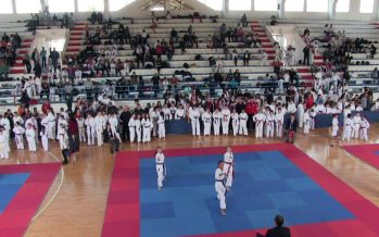 Tradicionalni međunarodni karate turnir u Vlasotincu (VIDEO)