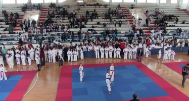 Tradicionalni međunarodni karate turnir u Vlasotincu (VIDEO)