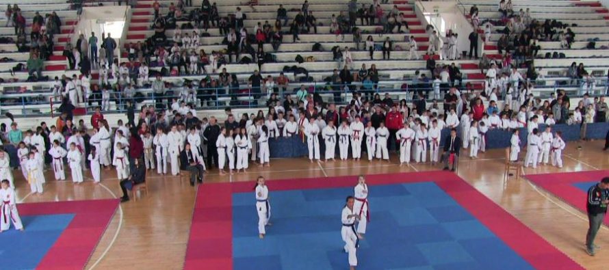 Tradicionalni međunarodni karate turnir u Vlasotincu (VIDEO)