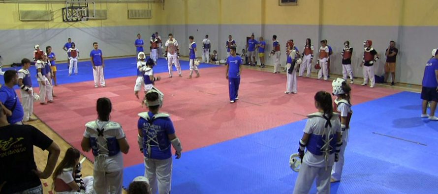 Taekvondo dani u Nišu uz svetskog prvaka (VIDEO)