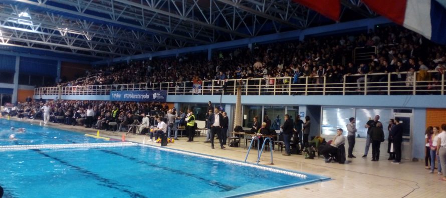 Zlatni delfini i dalje neporaženi u Nišu, na Čairu „kapitulirala“ i Hrvatska (VIDEO)