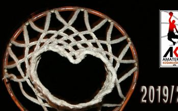 Amaterska košarkaška liga Niša prekinula sezonu